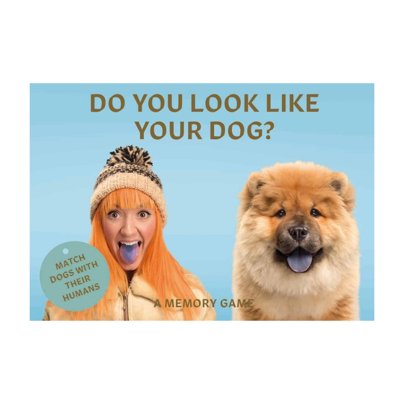 Do You Look Like Your Dog Game