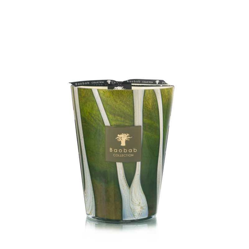 Baobab Collection Large Woods Sherwood Candle