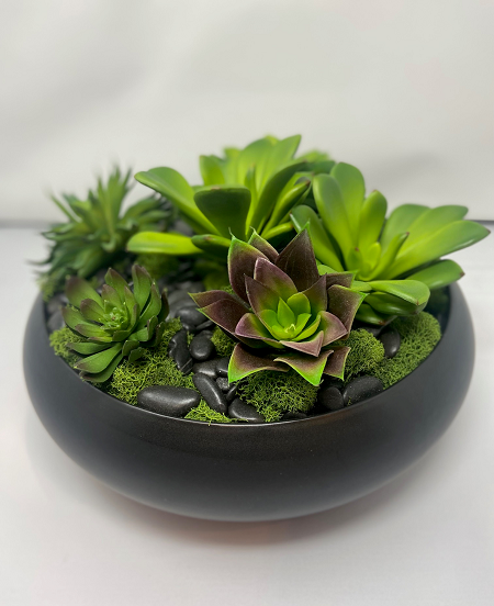 Green Succulent Floral Arrangement