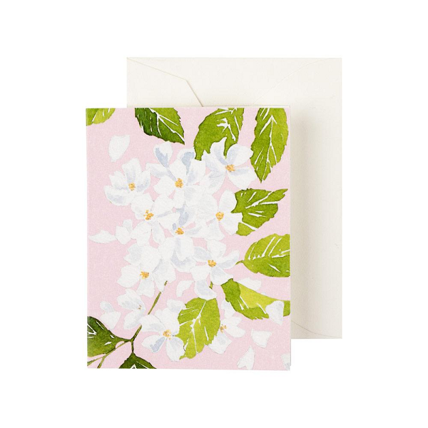 Blossom Enclosure Cards 