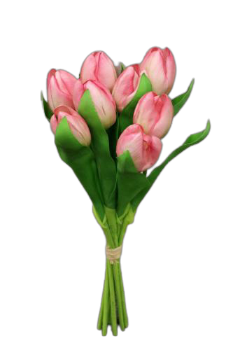 Bundle of 8 Pink Tulips