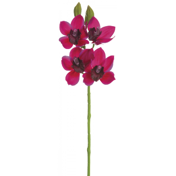 Fuchsia Orchid Spray