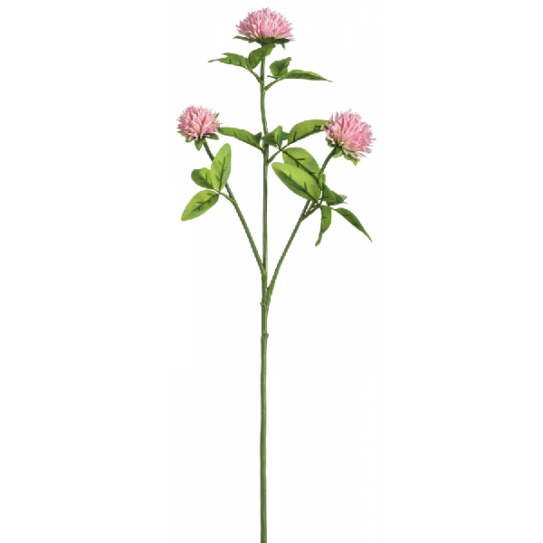 Pink Clover Spray