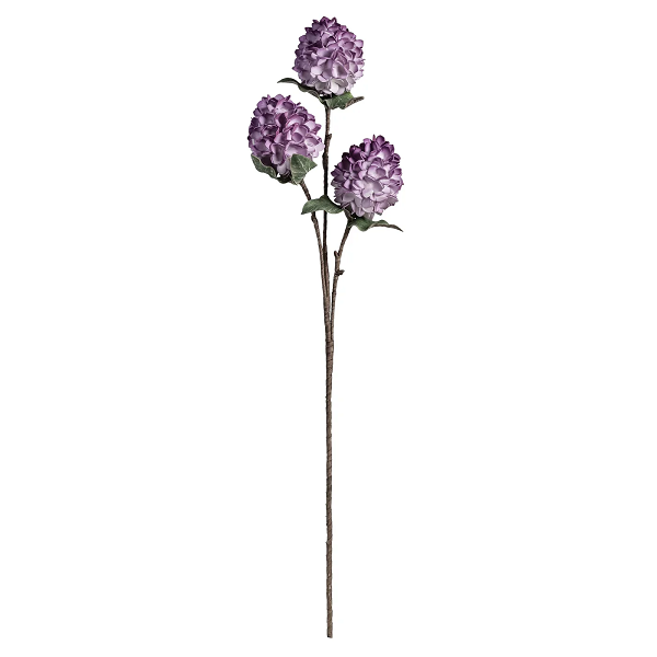 Lilac Bloom Stem