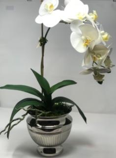 Floral Arrangement - White Orchid in Nickel Planter
