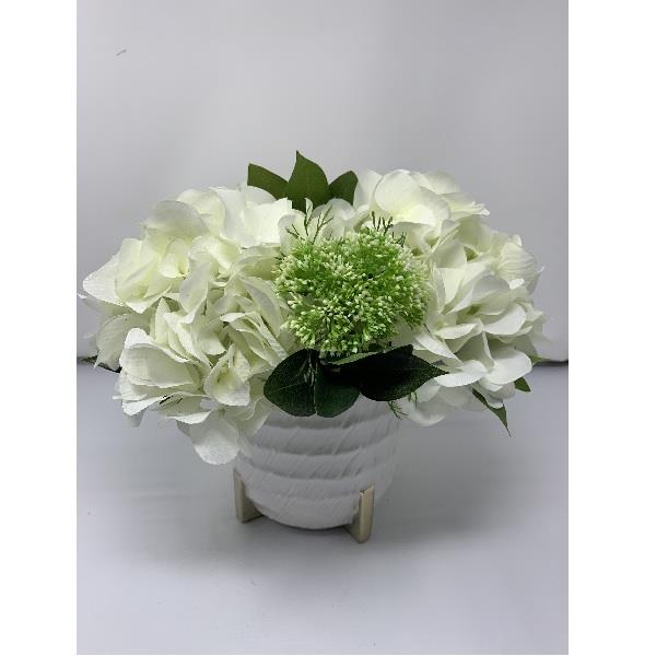 Hydrangea White &amp; Green Arrangement