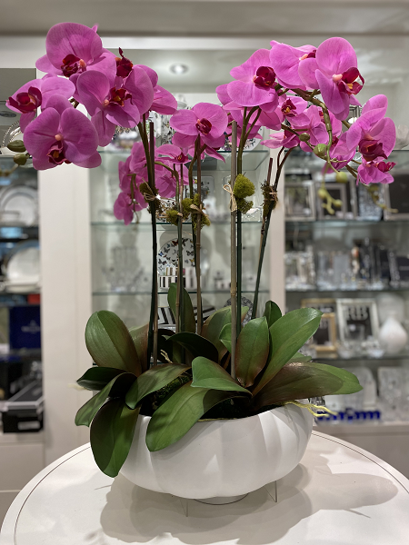 Five Stem Fuschia Orchid Arrangement