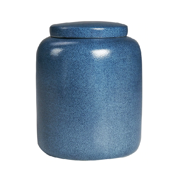 Blue Lizard Texture Jar