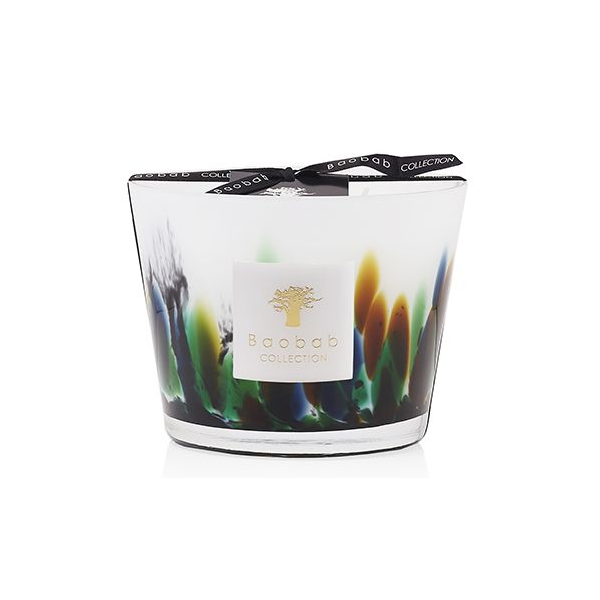 Baobab Collection Rainforest Amazonia Small Candle